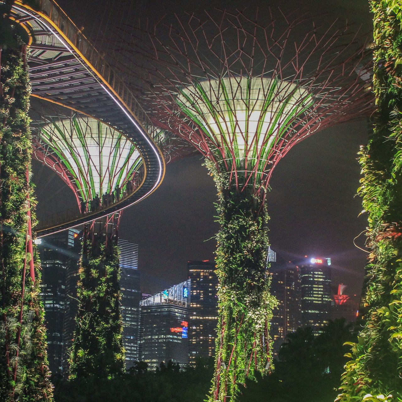 Gardens by the Bay in der Nacht