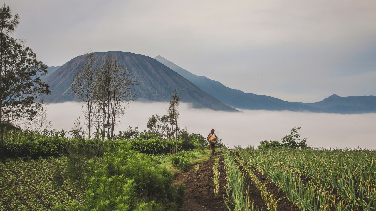 Farmer vor dem Nebelmeer