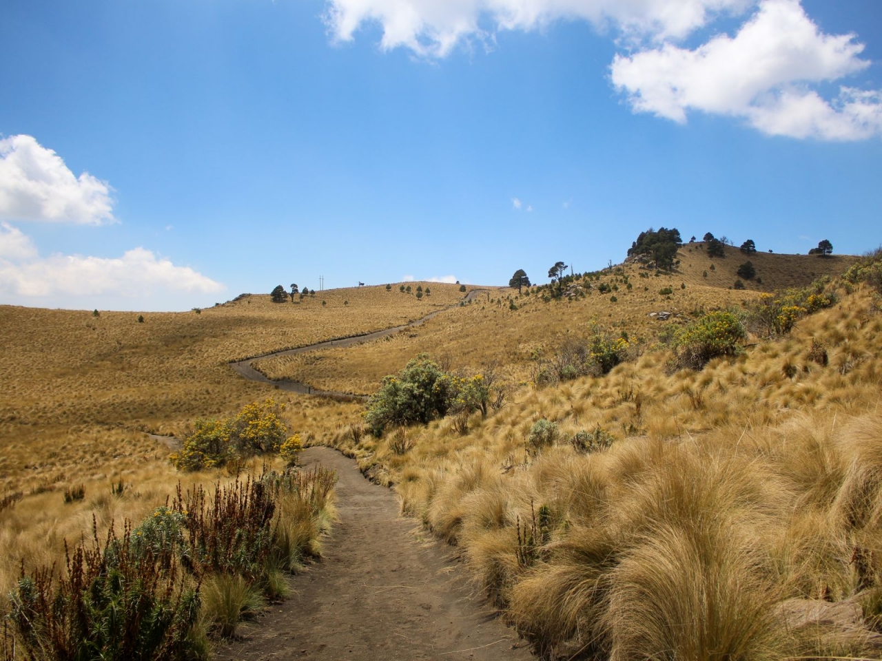 Der Weg nach La Joya