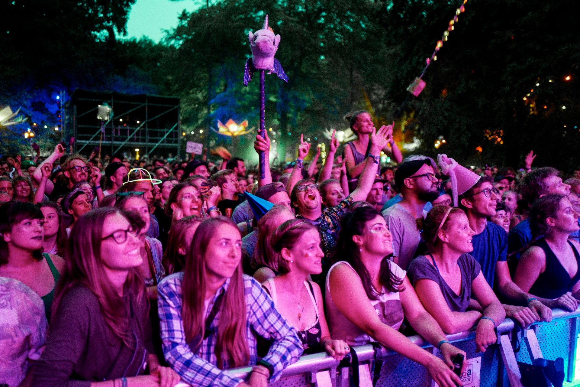 Crowd auf dem Appletree Garden Festival