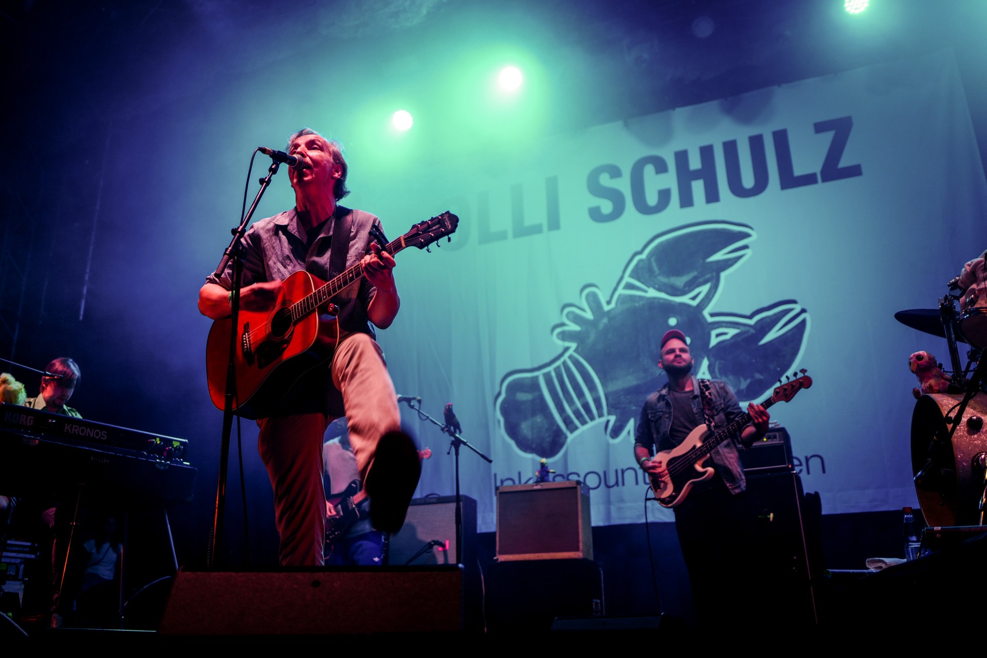 Olli Schulz live auf dem Appletree Garden Festival 2018