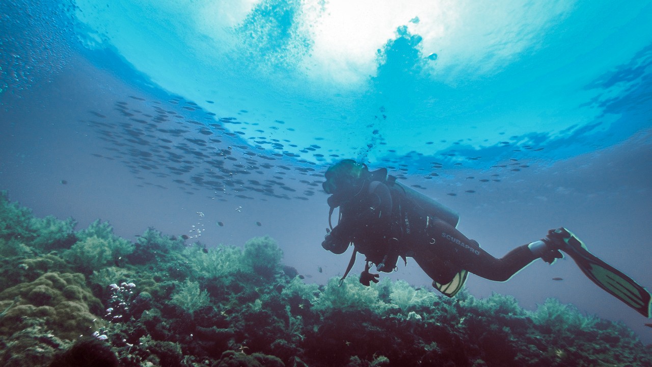 Unter Wasser in Malapascua
