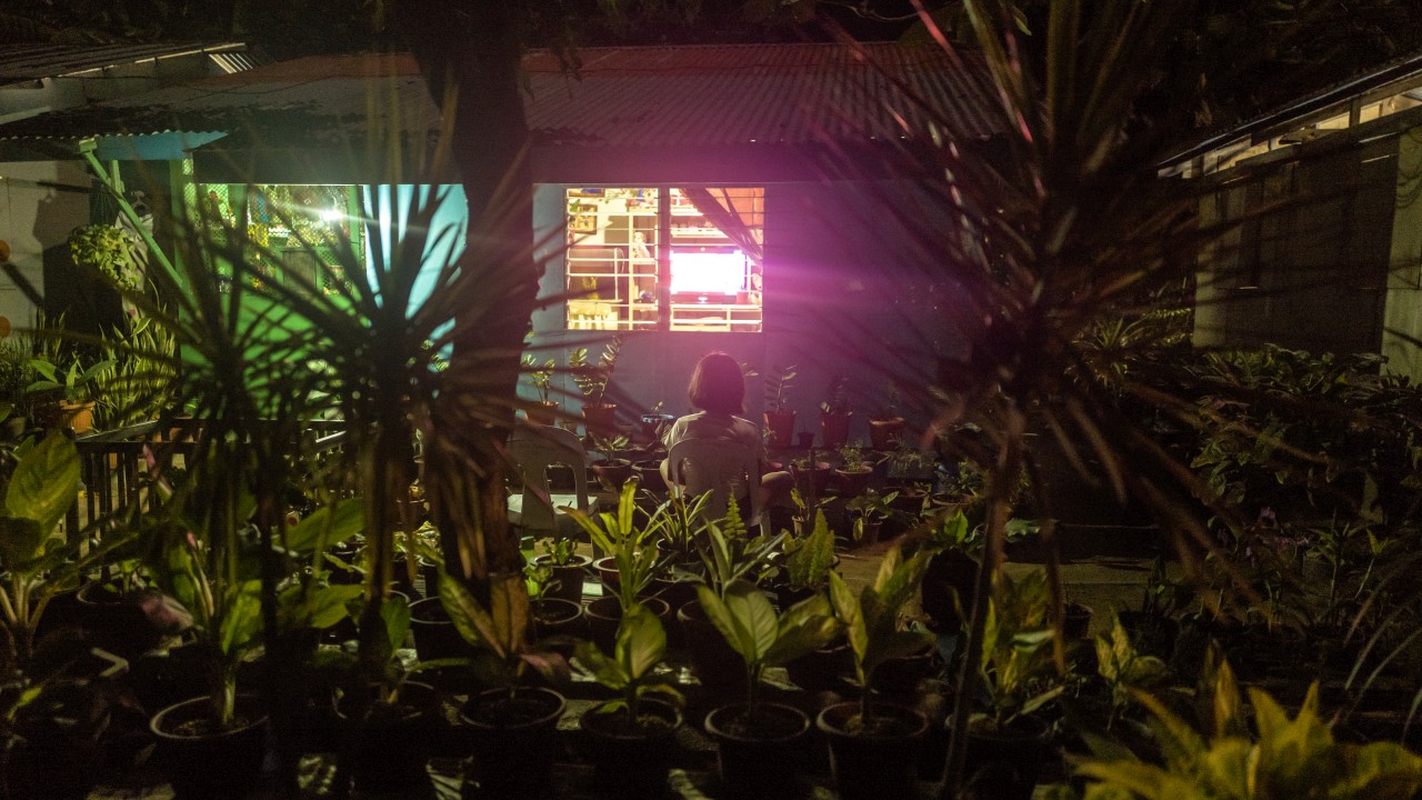 Garten in Malapascua Island